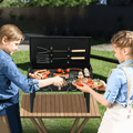 Portable Gas Grill, 24000BTU Grills with 2 Large Wheels, Propane Grill with Side Burner and Thermometer for Patio Activity